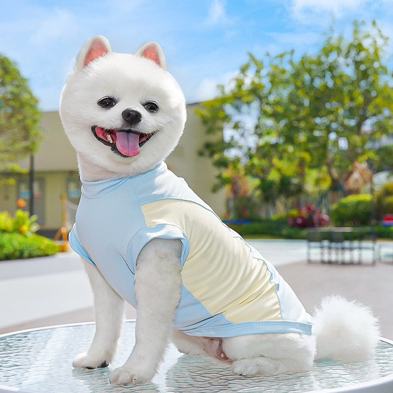 Individuell bestickte Kühlweste für Haustiere für Hunde und Katzen – Sommerkühlweste aus Eisseide – Sonnenschutz