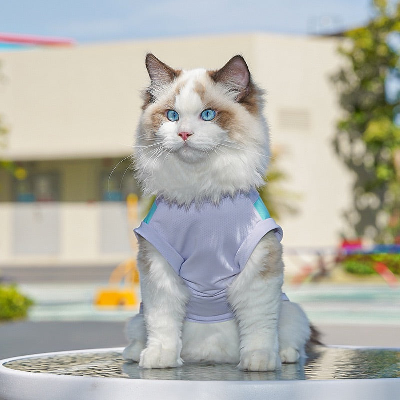 Individuell bestickte Kühlweste für Haustiere für Hunde und Katzen – Sommerkühlweste aus Eisseide – Sonnenschutz